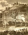 Kalki1790s, ThePoemStory - Poems and Stories, Poems and Stories