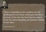 An Image of Beautiful Quotes by Edgar Allan Poe 'There is something in the unselfish and self-sacrificing love of a brute, which goes directly to the heart of him who has had frequent occasion to test the paltry friendship and gossamer fidelity of mere Man.'