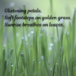 1, ThePoemStory - Poems and Stories, Poems and Stories