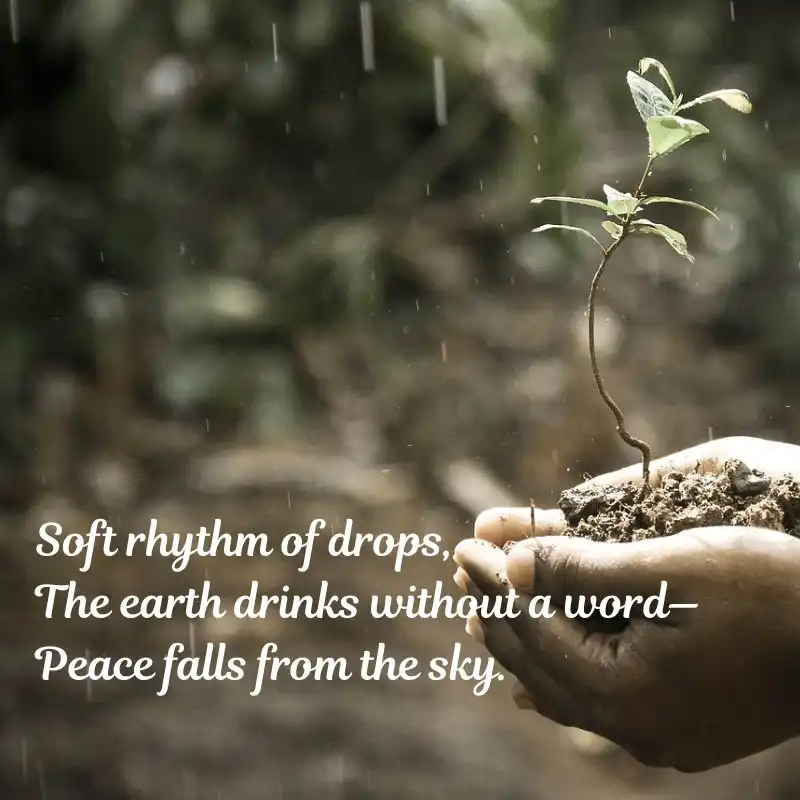 15 Haikus on Nature Beauty - Whispers of Nature 11 15 Haikus on Nature Beauty - Rainfall