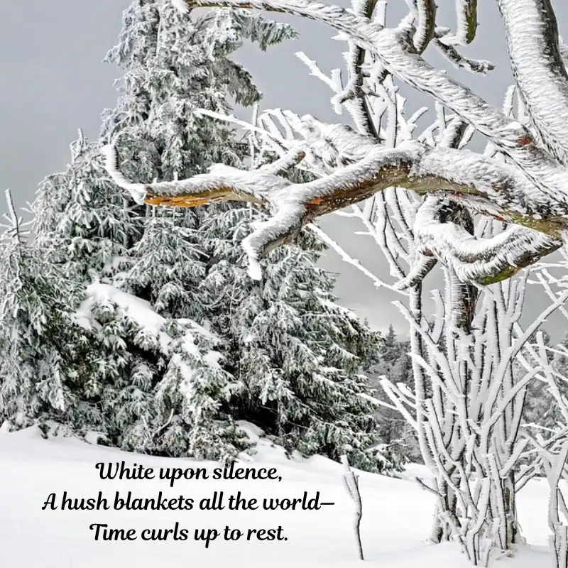 15 Haikus on Nature Beauty - Whispers of Nature 14 15 Haikus on Nature Beauty - Snowfall