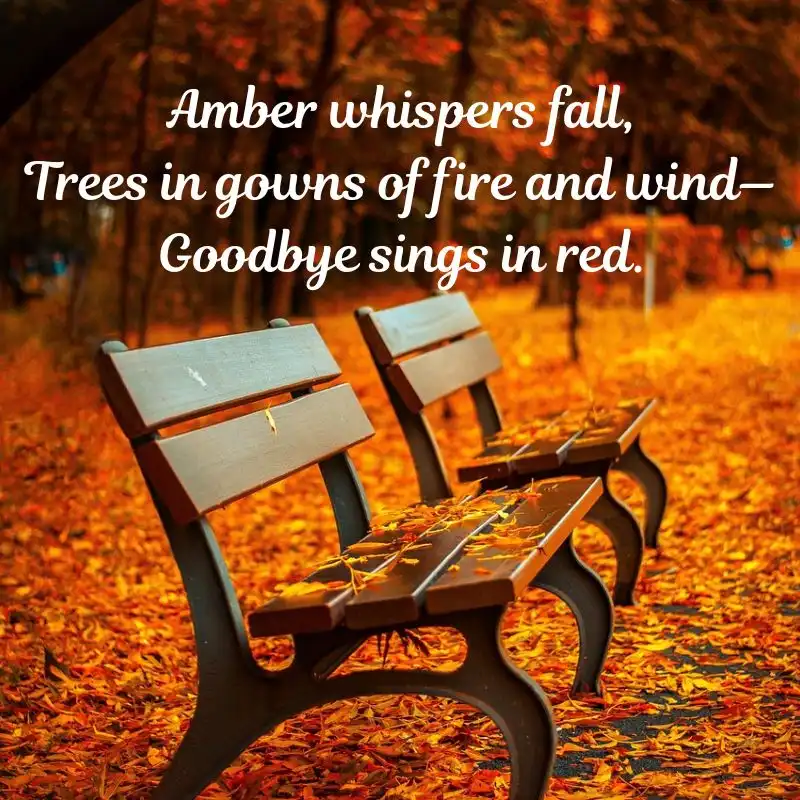 15 Haikus on Nature Beauty - Whispers of Nature 5 15 Haikus on Nature Beauty - Autumn Gold