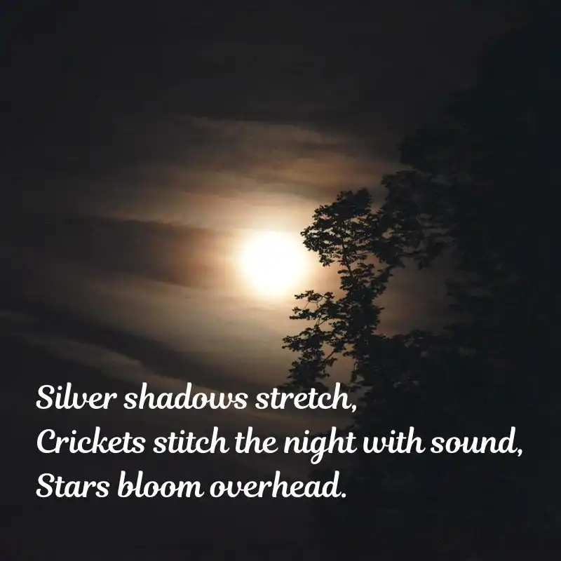 15 Haikus on Nature Beauty - Whispers of Nature 6 15 Haikus on Nature Beauty - Moonlit Meadow