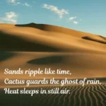 7, ThePoemStory - Poems and Stories, Poems and Stories