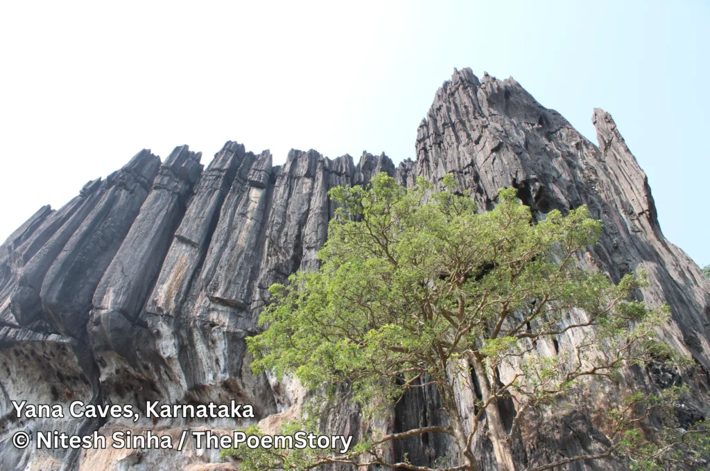 Yana Caves of Karnataka showing Bhairaveshwara and Mohini Shikhara rising from dense forest
